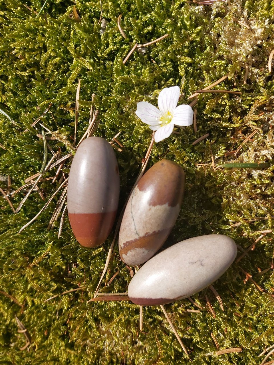 Shiva Lingam