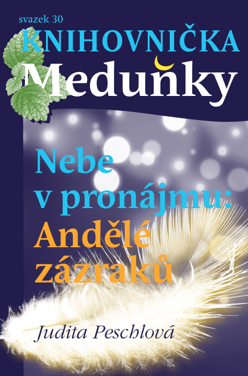 Nebe v pronájmu: Andělé zázraků